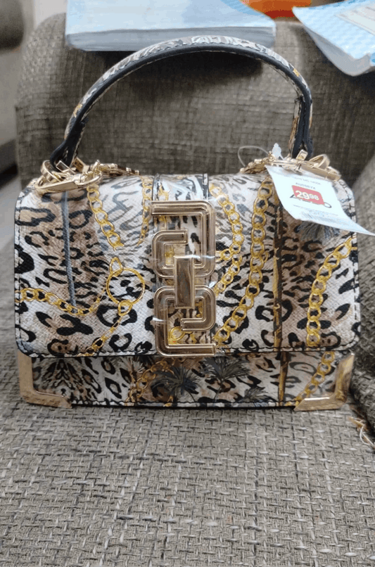 Aldo Crossbody Bag